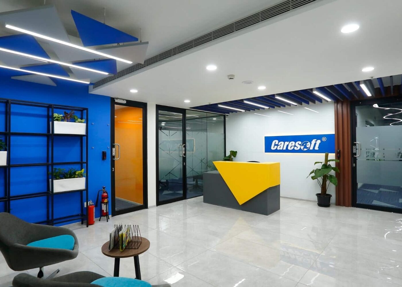 Caresoft 01