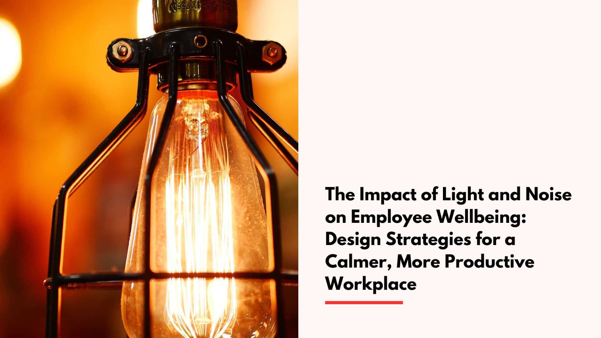 The Impact of Light and Noise on Employee Wellbeing cover