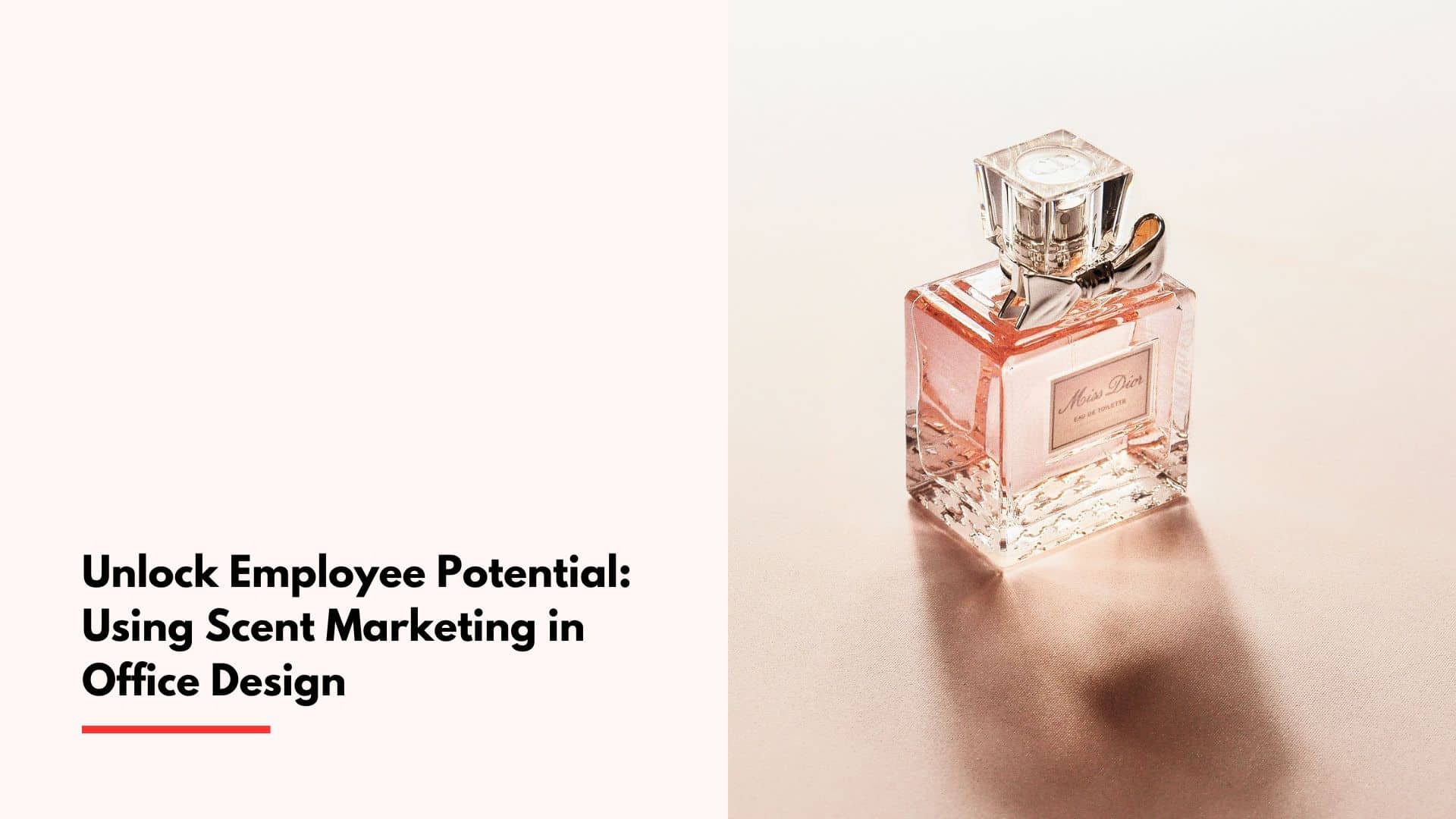 Unlock Employee Potential: Using Scent Marketing in Office Design cover