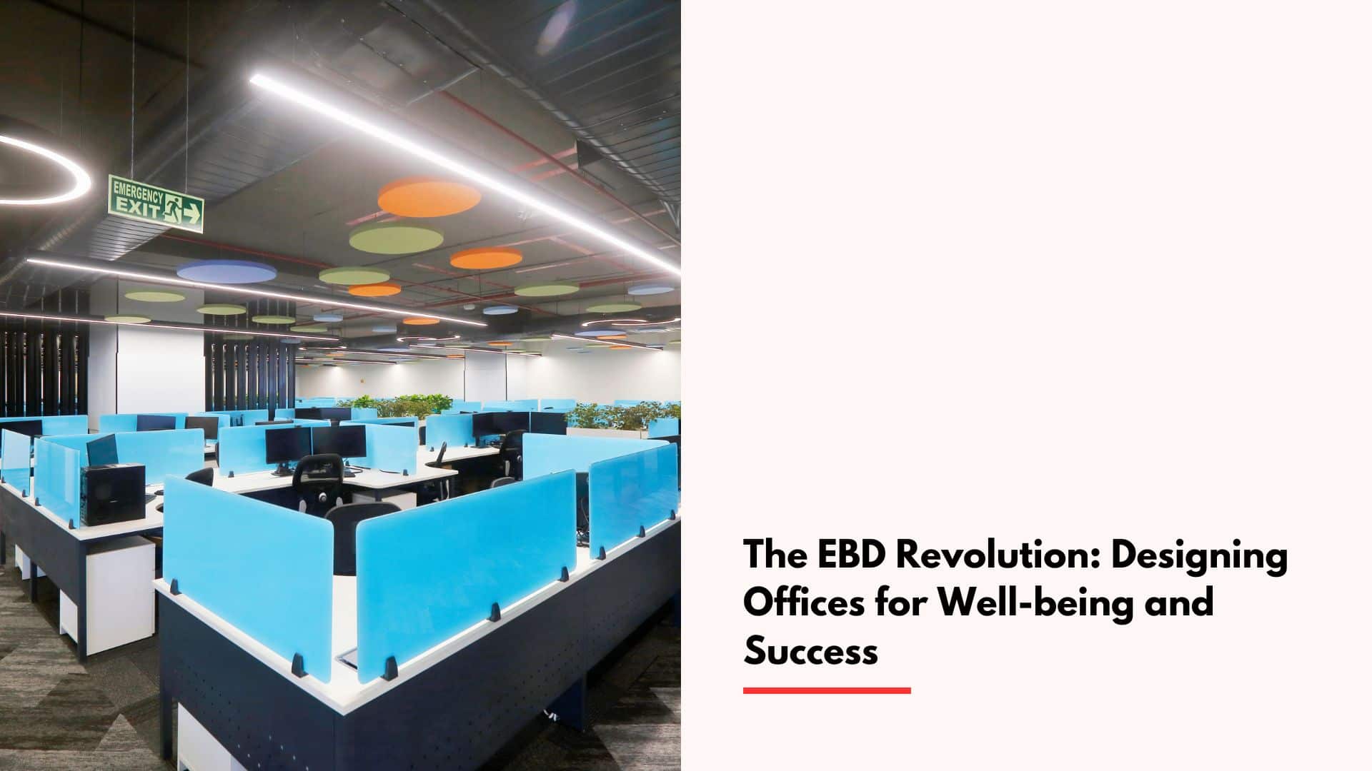 The-EBD-Revolution-Designing-Offices-for-Well-being-and-Success cover