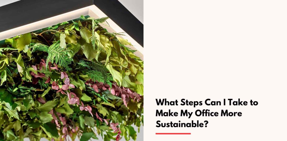 Blogs What Steps Can I Take to Make My Office More Sustainable