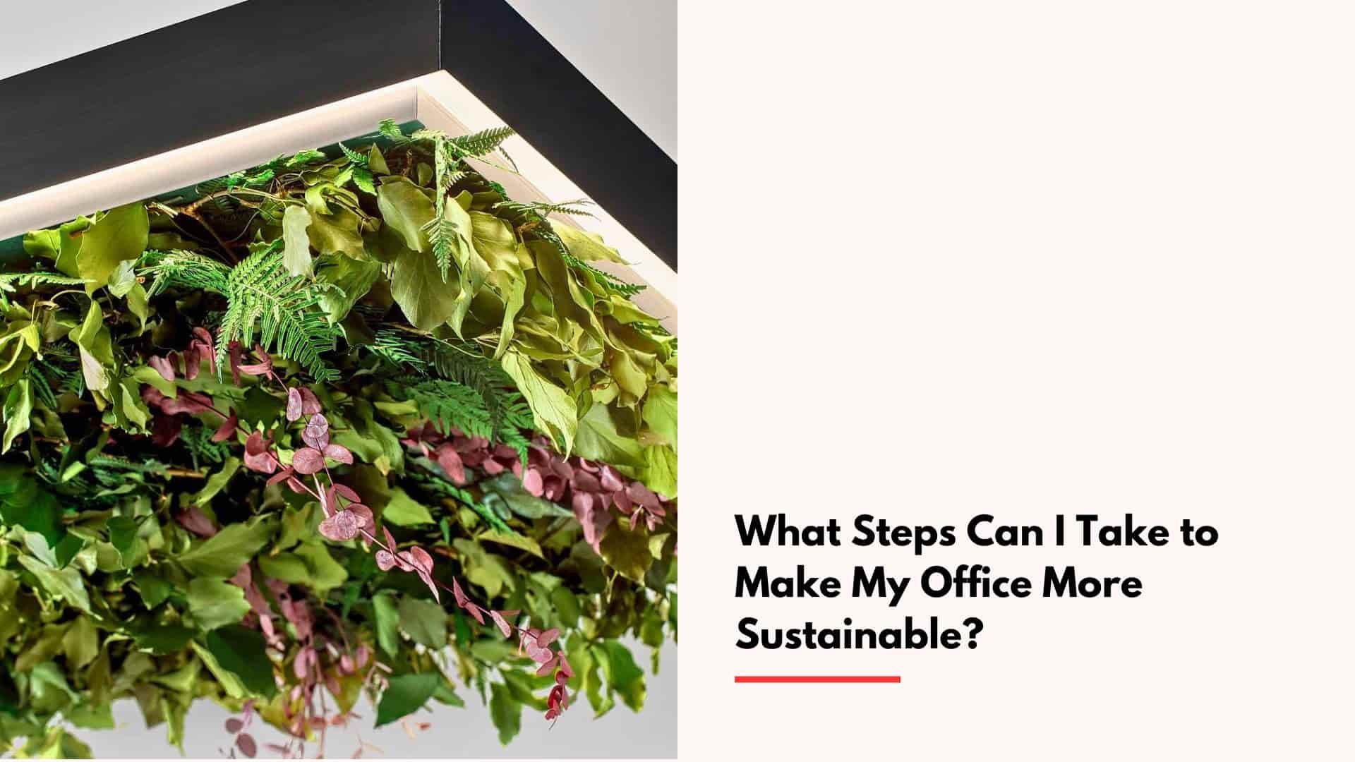 What Steps Can I Take to Make My Office More Sustainable