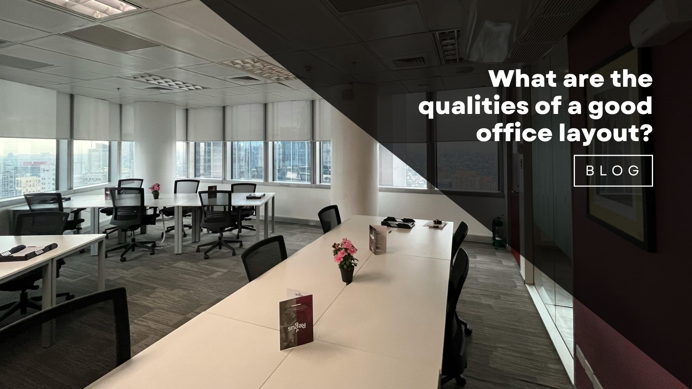 What are the qualities of a good office layout?
